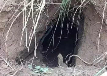 BSF Deploys Drone-Mounted Radars To Check For Under-Ground Tunnels Along Border With Pakistan