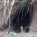 BSF Deploys Drone-Mounted Radars To Check For Under-Ground Tunnels Along Border With Pakistan