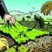 Baramulla Residents Told To Remove Encroachments Within 3 Days Or Face Action