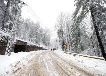 Snowfall Hits Power Supply In Parts Of Kashmir, Most Lines Restored: Officials