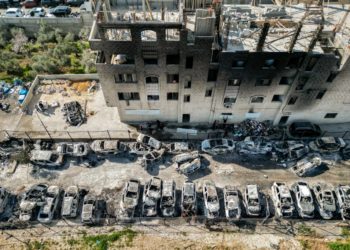 Israel Must Be Held Accountable For Crimes In Palestine: OIC Chief