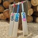 Kashmiri Bat Manufacturing Company Signs MoUs With International Boards, Leagues