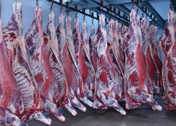 J&K Govt Approves Rs 329 Cr Project To Achieve Self Reliance In Mutton Sector