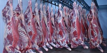 J&K Govt Approves Rs 329 Cr Project To Achieve Self Reliance In Mutton Sector