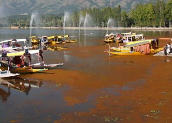 Where Does The Houseboat Sewage Go?