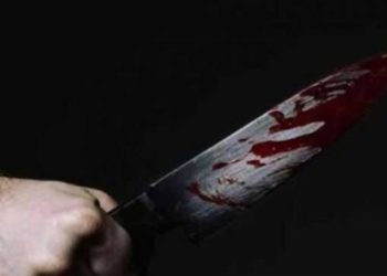Female Kashmiri Student Stabbed By Auto-Driver In Delhi