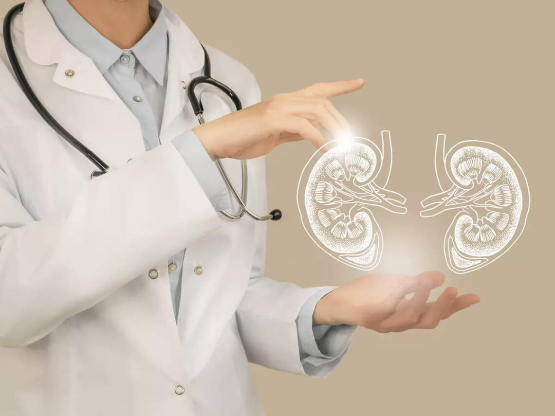 Healthy Lifestyle Key To Preventing Kidney Degeneration: Experts