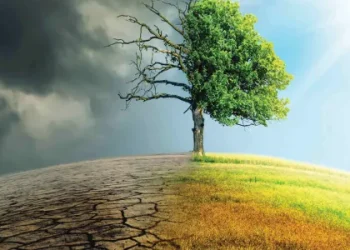 Climate Change Increasing Risk Of New Emerging Viruses, Infectious Diseases In India: Experts