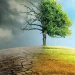 Climate Change Increasing Risk Of New Emerging Viruses, Infectious Diseases In India: Experts