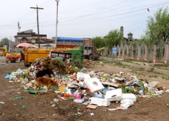 Srinagar To Go Dustbin Free, Waste Collection At Doorstep During Wee Hours