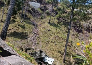 Two Soldiers Killed As Army Vehicle Falls Into Gorge In J&K