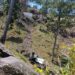 Two Soldiers Killed As Army Vehicle Falls Into Gorge In J&K