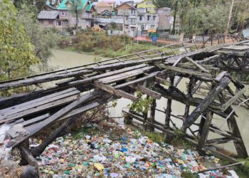 No Progress To Control Pollution In Doodh Ganga: National Green Tribunal