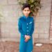 Dog Terror: 10-Yr-Old Boy Loses Battle Of Life After Chased By Stray Dogs In Srinagar 