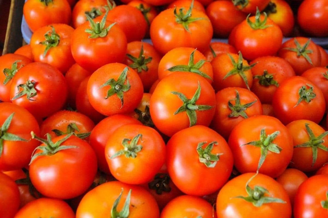 ‘Red Gold’ Tomato Prices Skyrocket To 3000 For Each Crate