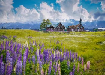Obtain Permission For Installing Tents In Gulmarg: CEO GDA