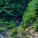 Kokernag Gunfight: Another Soldier Succumbs, Toll Reaches 4