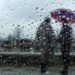 Overnight Rainfall Breaks Unprecedented Dry Spell In Kashmir