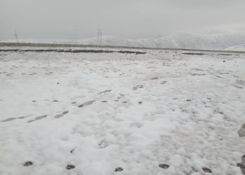 Kashmir’s Higher Reaches Receive Fresh Snowfall, Rains Lash Plains