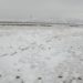 Kashmir’s Higher Reaches Receive Fresh Snowfall, Rains Lash Plains
