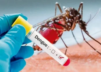 3,000 Dengue Cases, Three Deaths Reported In J&K This Year So Far