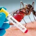 3,000 Dengue Cases, Three Deaths Reported In J&K This Year So Far