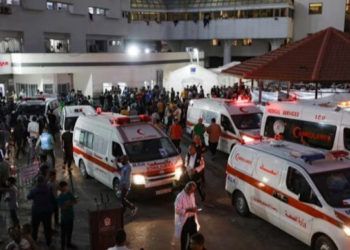 Gaza: Humanitarian Crisis Worsens As Hospitals And Vital Supplies Dwindle Amid Israel Attacks