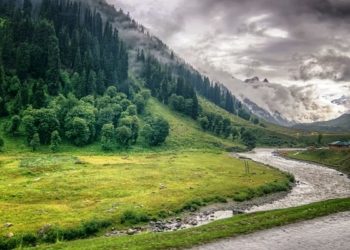 J&K Forest Highly Vulnerable To Climate Change