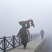 Dense Fog Engulfs Kashmir Amid Severe Cold Wave