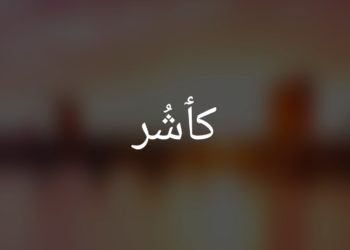 Decline In Kashmiri Language Usage Threatens Our Cultural Identity
