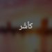 Decline In Kashmiri Language Usage Threatens Our Cultural Identity