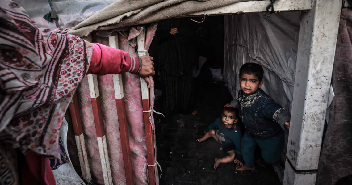 In Gaza, There Are No More ‘Normal-Sized Babies’: UN Official