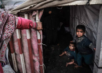 In Gaza, There Are No More ‘Normal-Sized Babies’: UN Official