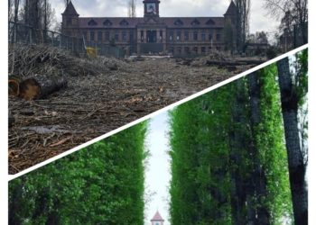Poplar Massacre In UNESCO Credited College Triggers Widespread Anger In Kashmir