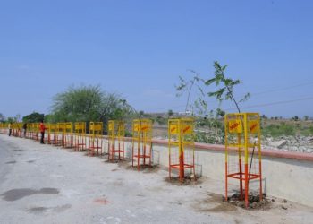 Miraj Group Commits To Green Future With 1 Crore Tree Plantation Drive