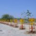 Miraj Group Commits To Green Future With 1 Crore Tree Plantation Drive