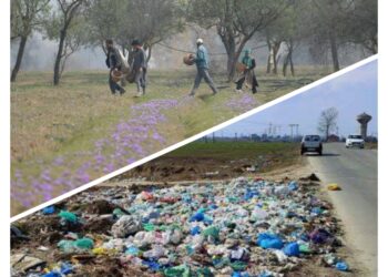 Saffron Fields at Risk as Pampore Residents Urge Shift of Garbage Dumping Site