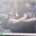 CCTV Footage Reveals Woman Attacking Shopkeeper, Creating Ruckus in Srinagar’s Nowhatta; Police Register FIR