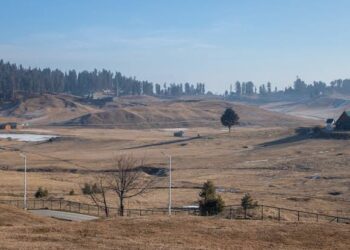 Dry Spell: Trees Yearn For Rain, Crops Face Peril