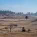 Dry Spell: Trees Yearn For Rain, Crops Face Peril