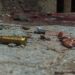 Bashar Assad Flees Syria As Militants Enter Damascus