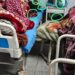 Patients Suffer as Rat Menace Grips RIMS in GMC Anantnag