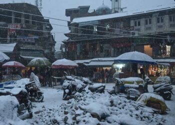 Snowfall Ends Prolonged Dry Spell In Kashmir