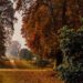 Kashmir’s Chinar Trees Get High-Tech Protection with Geotagging and QR Codes