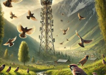 Sparrows And Mynas Vanishing From Kashmir Valley, Experts Blame Mobile Tower Radiation