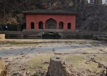 For The First Time In History, Achabal Garden Dries Up Amid Climate Change
