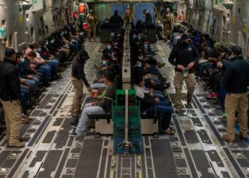 US Military Plane with 104 Deported Indians Lands in Amritsar