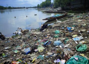 Jhelum & Dal Lake Choked By Waste, Turning Into Dumping Grounds