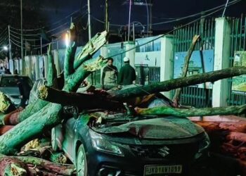 Stormy Winds Wreak Havoc in Kashmir; Power Outages, Property Damaged