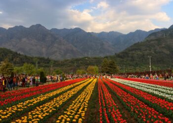 Srinagar: Home To 120 Parks & J&K’s Largest Floriculture Area